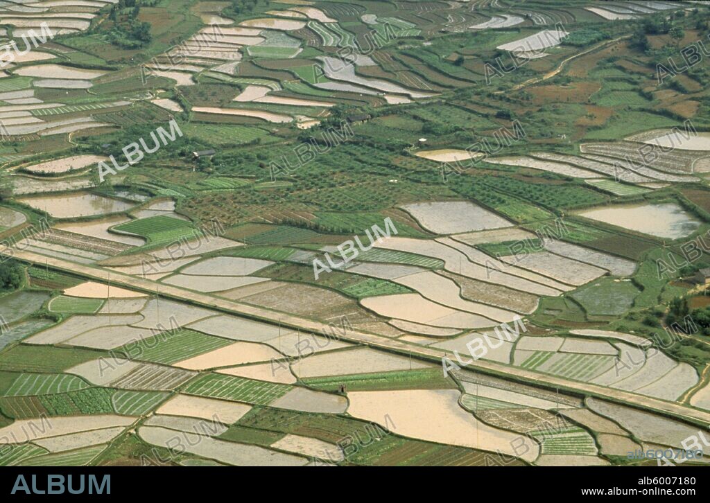 CHINA Agriculture Aerial view over paddy fields in various stages of cultivation distant man on road passing through centre.
