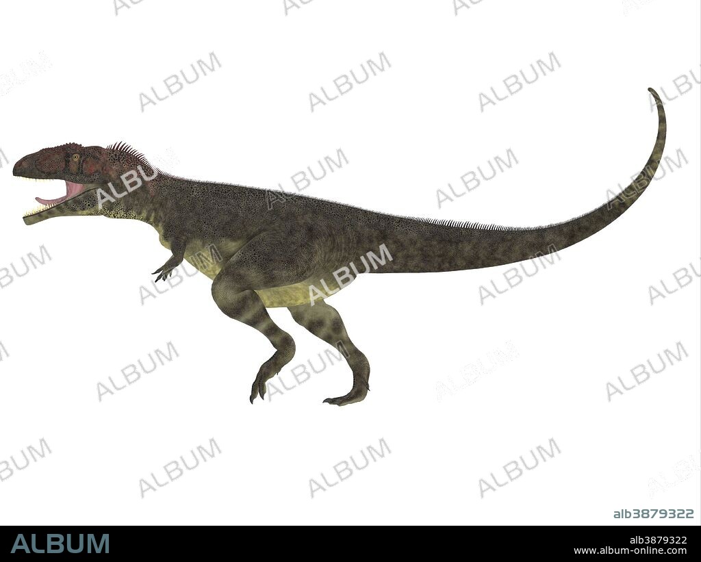 Mapusaurus dinosaur. Mapusaurus was a giant carnivorous theropod dinosaur that lived during the Cretaceous Period of Argentina.