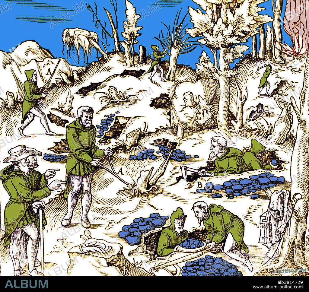 Woodcut from Georgius Agricola's, De Re Metallica. Exterior scene showing men using divining rods to locate minerals which several men with digging tools are mining. Georgius Agricola (1494-1555) was a German scholar and scientist. Known as the father of mineralogy. He is best known for De Re Metallica, published in 1556, a treatise on mining and extractive metallurgy. Agricola described and illustrated how ore veins occur in and on the ground, making the work an early contribution to the developing science of geology. He described prospecting for ore veins and surveying in great detail, as well as washing the ores to collect the heavier valuable minerals, such as gold and tin. It was also an important chemistry text for the period and is significant in the history of chemistry. De re metallica is considered a classic document of Renaissance metallurgy, unsurpassed for two centuries.