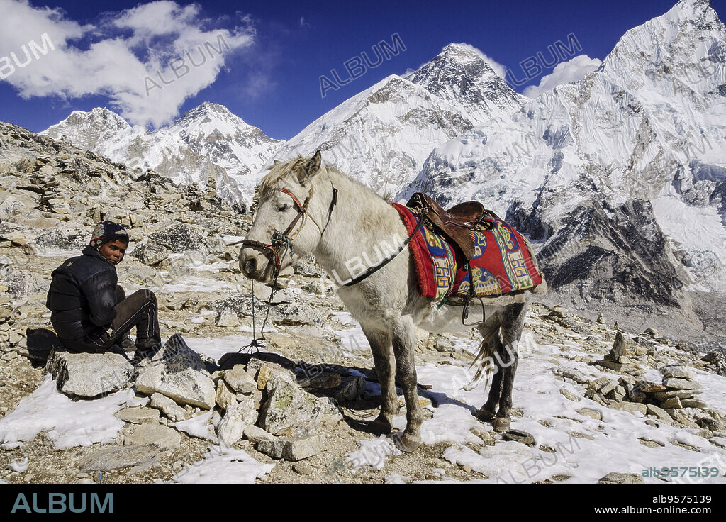 jinete y su caballo frente al monte Everest, 8848mts.Sagarmatha National Park, Khumbu Himal, Nepal, Asia.
