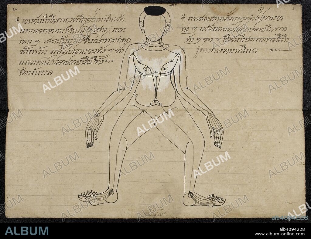 Thai medical diagram showing the pressure points on a Human body. Massage treatise. Thailand, 1800 - 1850. Paper folding book (samut khoi). Dimensions: 355 mm x 127 mm. Script: 4 lines per side, 31 cm long. Thai script. Source: Or. 13922 f.30. Language: Thai.