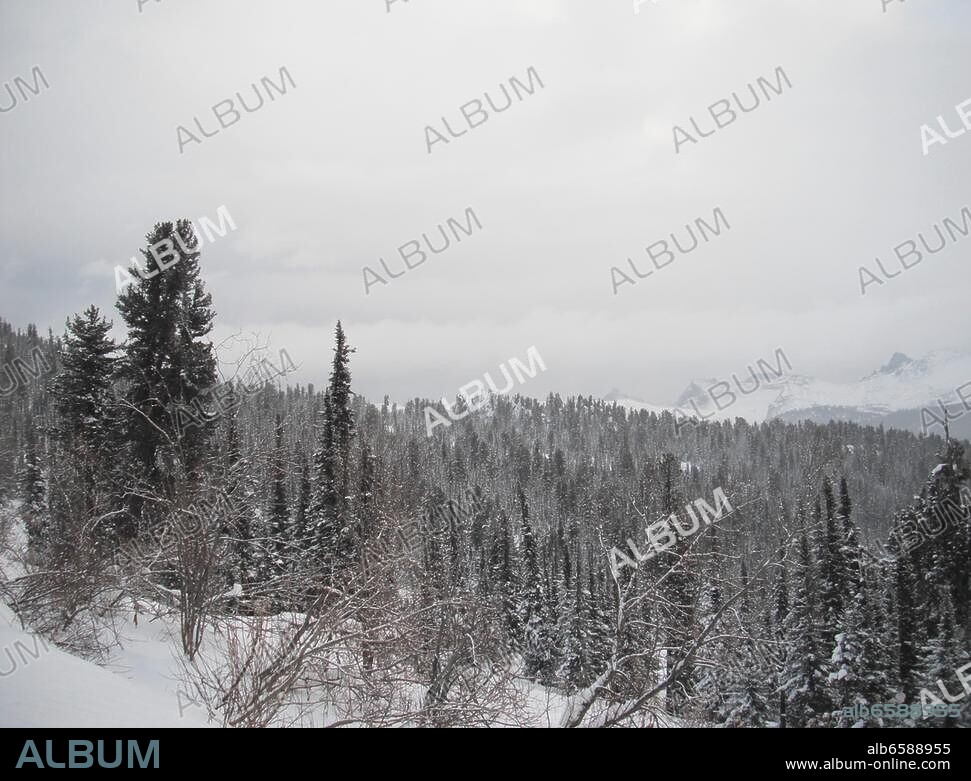 Russland, Sibirien, Republik Chakassien, Sajangebirge, Sajan, Westsajan, Taiga.