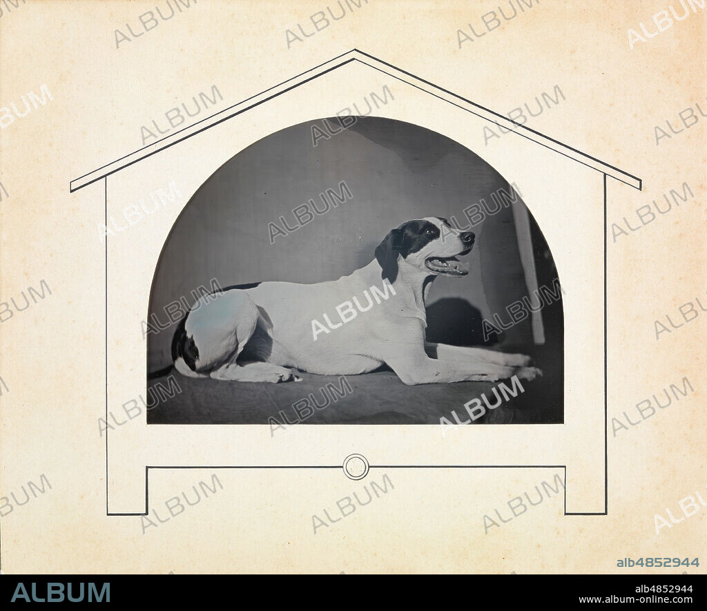 LOUIS-AUGUSTE BISSON. [Dog], 1841-49.