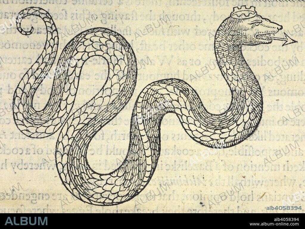 EDWARD TOPSELL. A snake or serpent wearing a crown. The Historie of Serpents, or, the second Booke of living Creatures, etc. London : W. Jaggard, 1608. Source: 435.h.8 page 119.