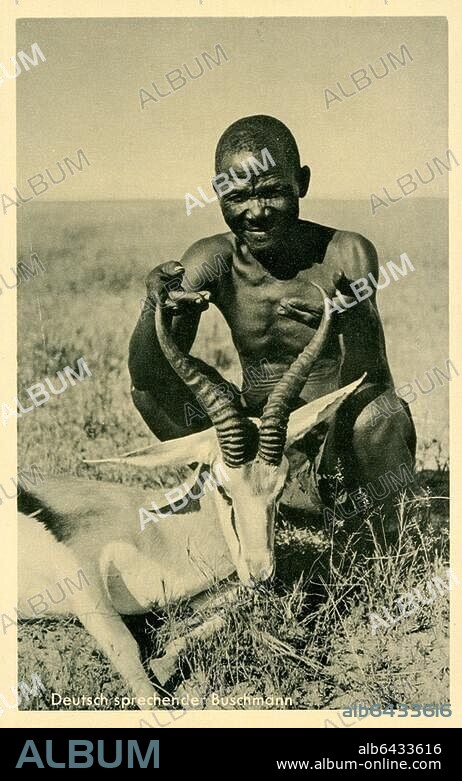 Völkerkunde: Afrika, Namibia.-"Deutsch sprechender Buschmann".-(Buschmann mit Antilope). Fotopostkarte, undatiert, nach Foto von Wilhelm Schack (Frankfurt am Main) aus der Serie "'Unserer Kolonien' Deutsch-Südwest" mit Zitat "' Wir brauchen unsere Kolonien als eigene Rohstoffquellen.".