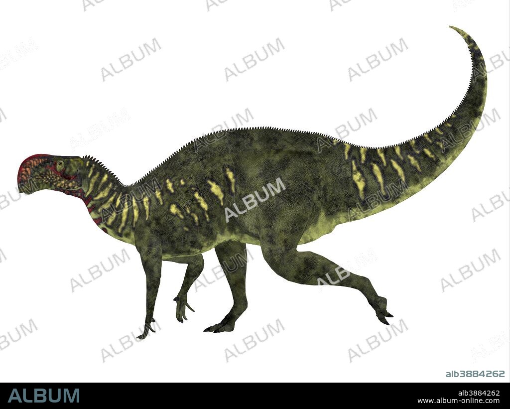 Altirhinus dinosaur, side profile. Altirhinus was an iganodont herbivore dinosaur from the Cretaceous Period of Mongolia.