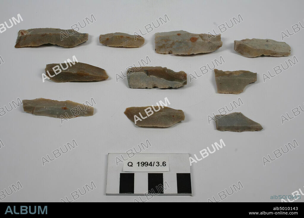 10 blades of flint, blades, stone, flint, 5.8 x 3 x 0.5 cm (largest blade), Belgium.