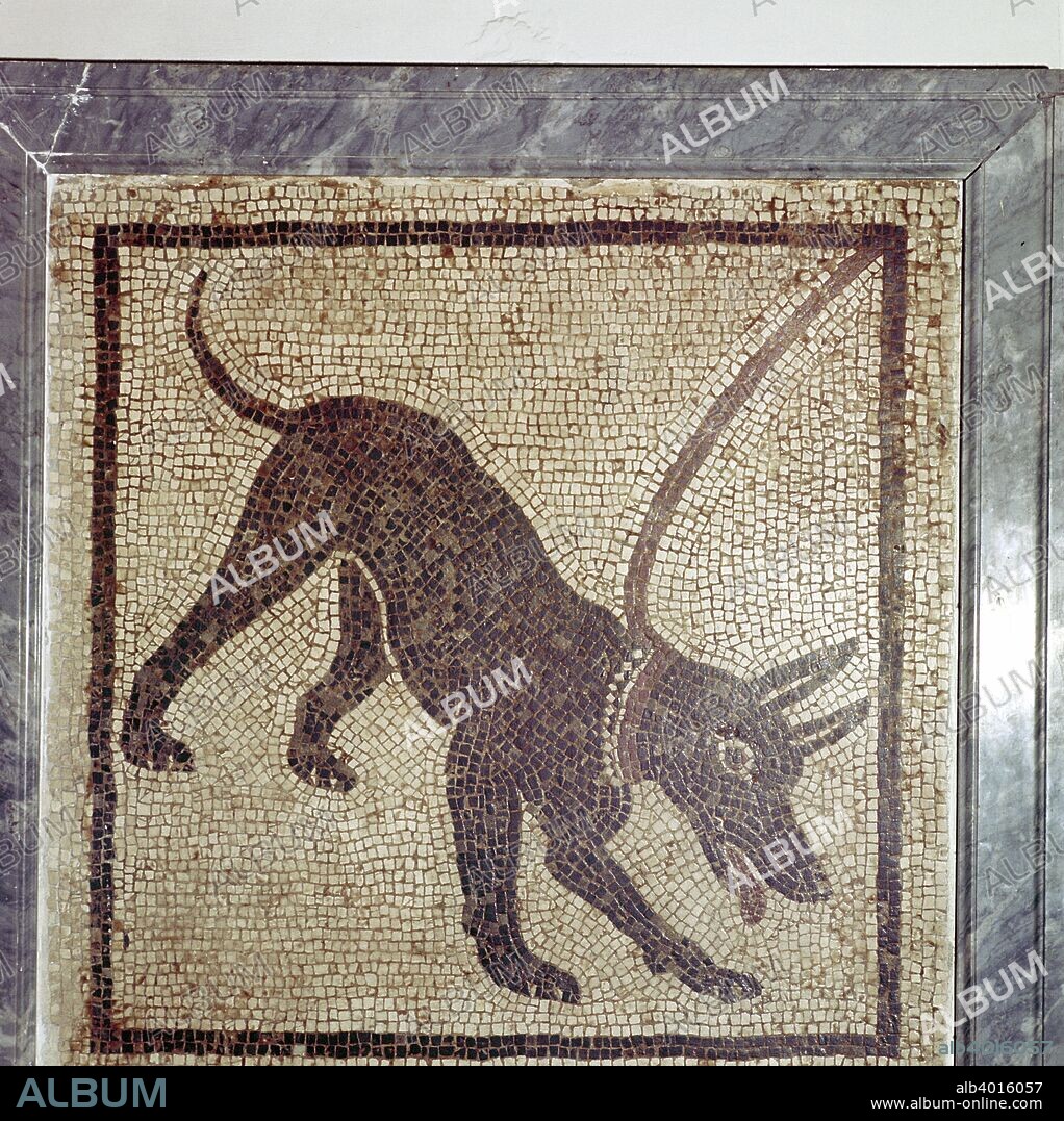 Roman mosaic of dog, Cave Canem, Pompeii, Italy.