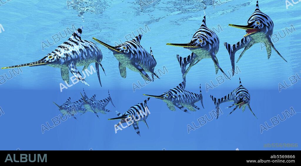 A Eurhinosaurus aquatic reptile pod swim together to hunt for their prey during the Jurassic Period.