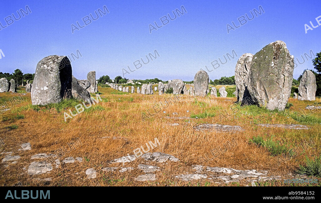 Alineamiento megalitico de Carnac (Karnag). Morbihan. Bretaña.Francia.