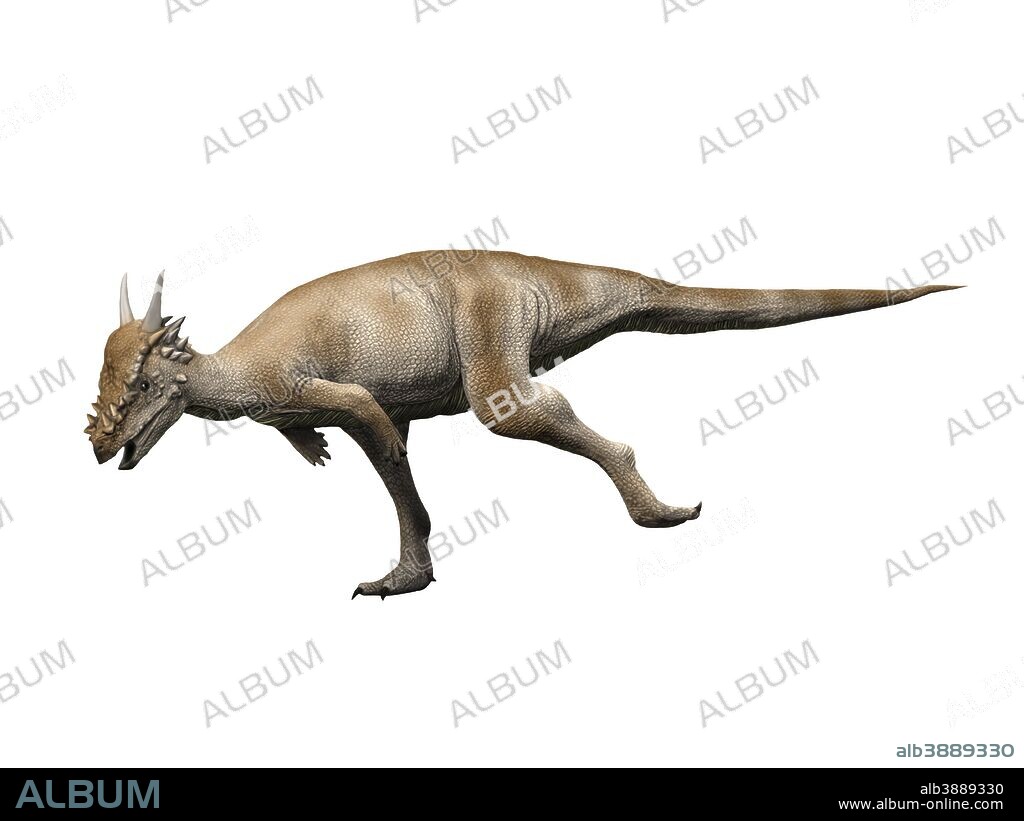 Stygimoloch is a pachycephalosaurid dinosaur from the Late Cretaceous period.