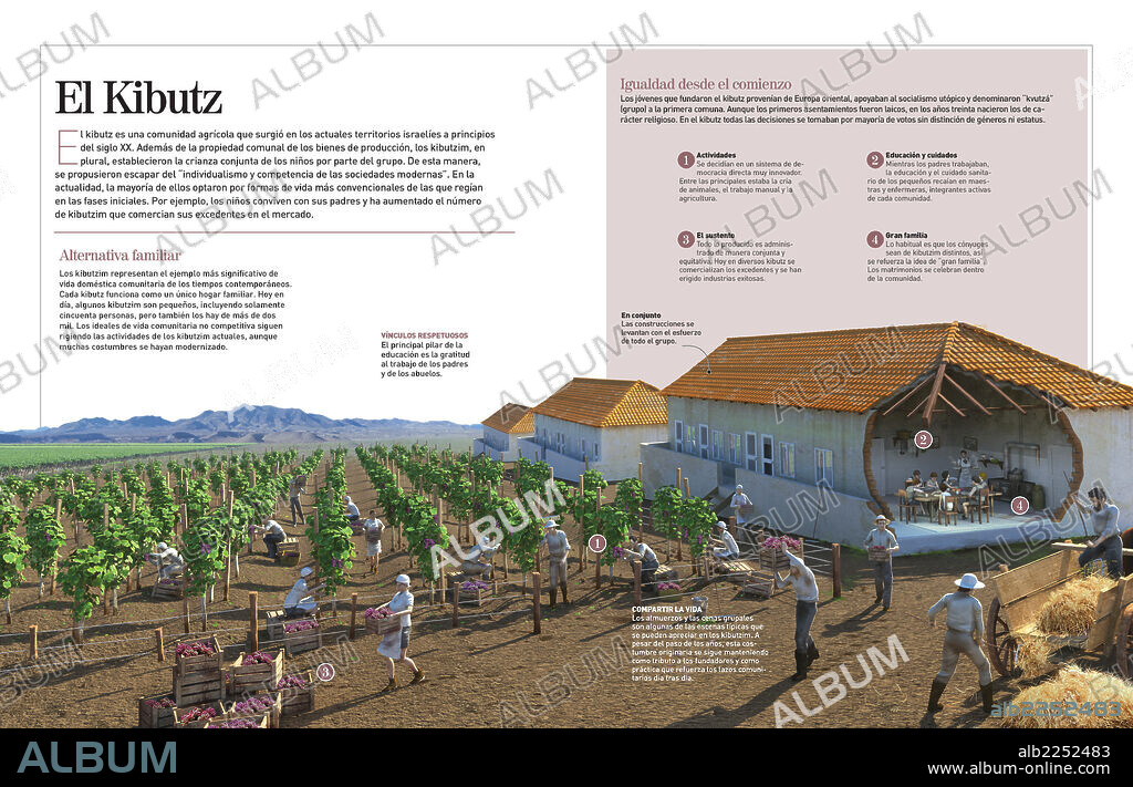 The kibbutz. Infographic about the kibbutz (kibbutzim in plural), agricultural communities that lived like a large family.