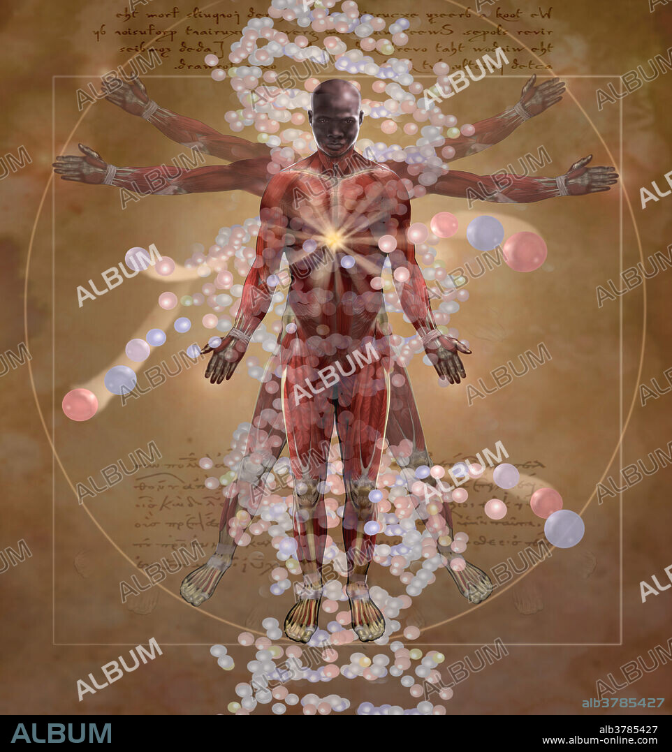 This illustration pays homage to the famous drawing Vitruvian Man by Leonardo Da Vinci. In the drawing, Da Vinci portrays the proportions of man, or the Canon of Proportions. The drawing is based on the correlations of ideal human proportions with geometric proportions described by the ancient Roman architect Vitruvius in his treatise De Architectura. Vitruvius described the human figure as being the principal source of proportion among the classical orders of architecture. Additional elements in this illustration include a depiction of molecular DNA and a cascade of foreground molecules represent the molecular structure of the four nucleotides present in the organic base pairs of DNA: thymine, cytosine, guanine and adenine.