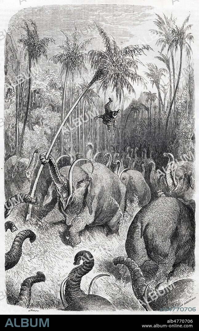 MILLE ET UNE NUITS, Les Voyages de SINBAD le Marin, le troupeau d'elephants . Gravure de Gustave Doré, milieu 19eme siecle. Credit Collection KHARBINE TAPABOR.