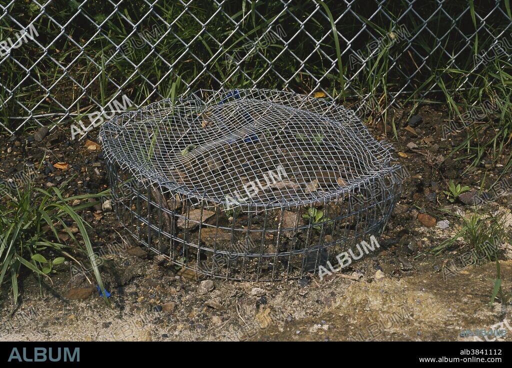 Cage built to protect map turtle (Graptemys sp.) eggs along the Juniata River, Huntingdon County, Pennsylvania.