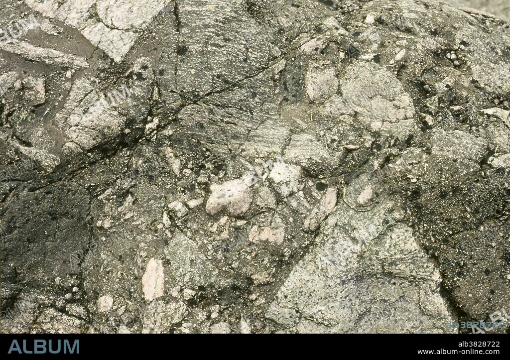 Sedimentary breccia.
