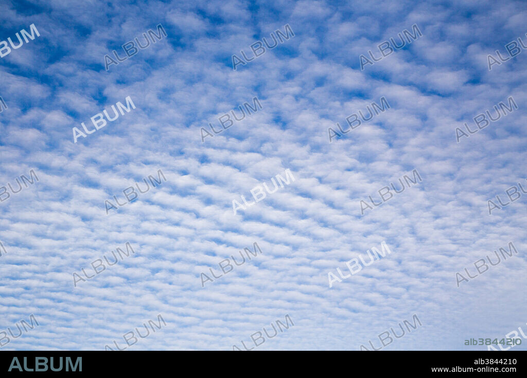 Altocumulus undulatus clouds covering a large portion of the sky. This may be and indication that a moist weather system will be moving into the area.