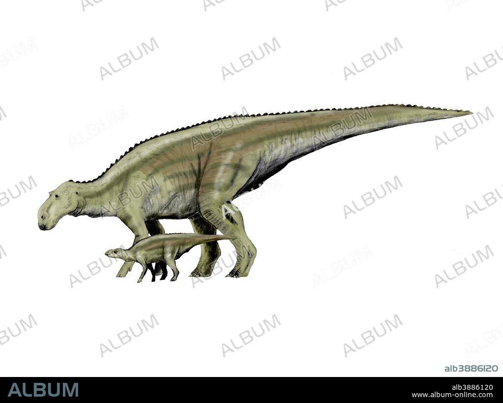Maiasaura dinosaur and offspring, white background.