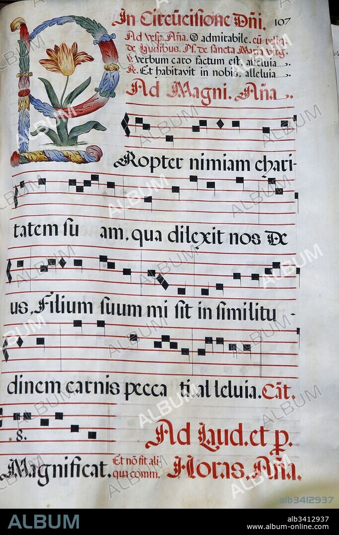 Domus Galilaeae or House of Galilee is run by the Catholic organisation Neocatechumenal Way, Antiphonary, The Circumcision of Jesus.