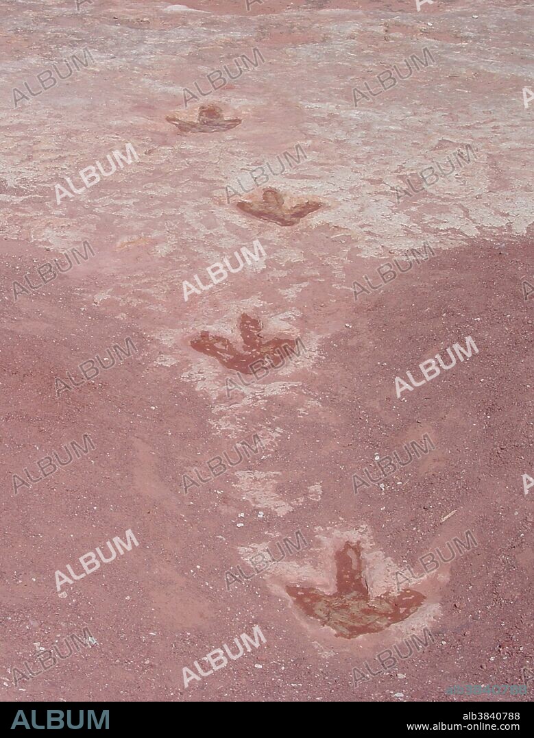 Dinosaur tracks in the Jurassic Moenave Formation. It is a popular site for tourists to stop and meet local Navajo and Moenkopi Hopi guides who lead short tours through the tracks area. Located in Tuba City, Arizona, USA. Photo dated 2014.
