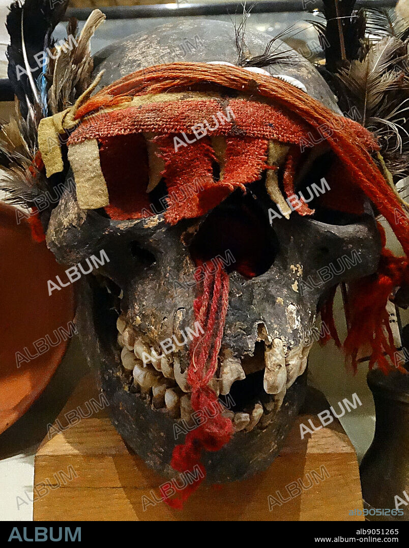 Tsantsas - Shrunken head from the Jivaroan tribes. Shrunken heads are severed and specially prepared human heads that are used for trophy, ritual, or trade purposes. Dated 1890.