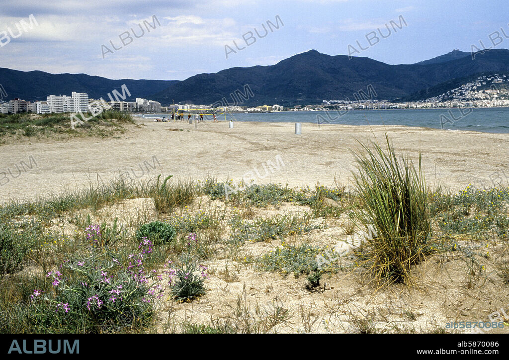 Castelló d' Empuries; playa / platja de la Rubina.