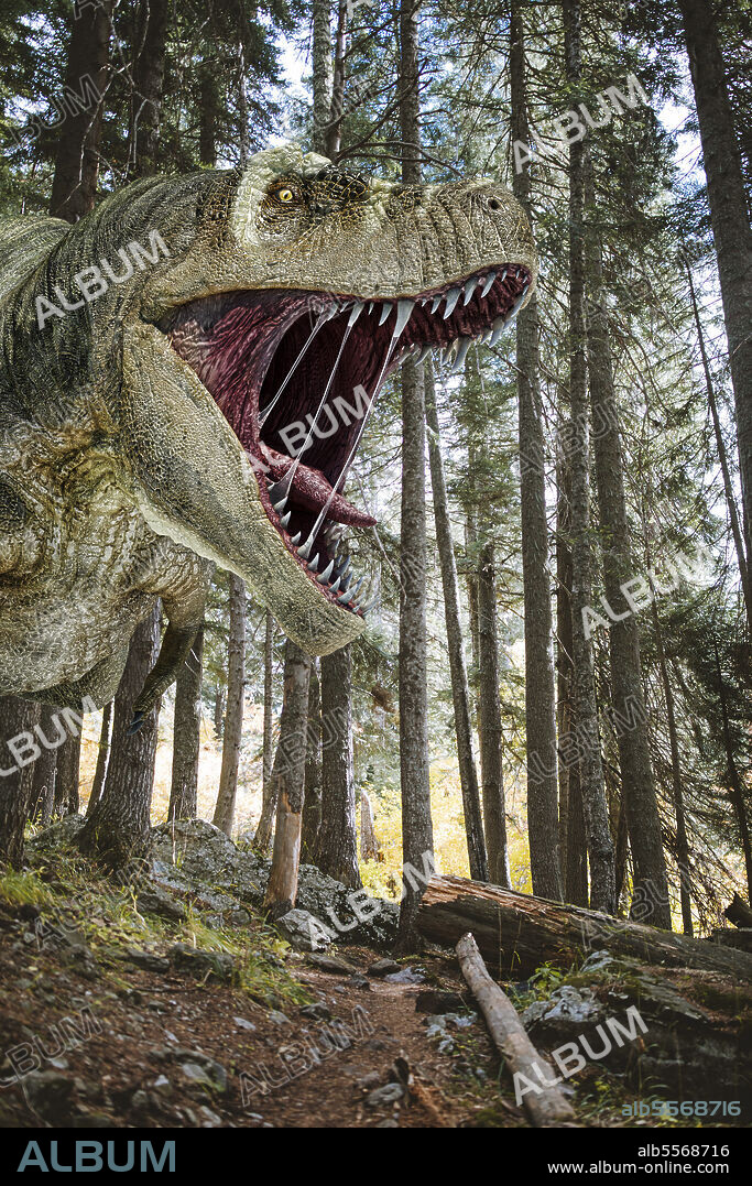 3D illustration of a T-Rex dinosaur close-up, roaring in a coniferous forest.