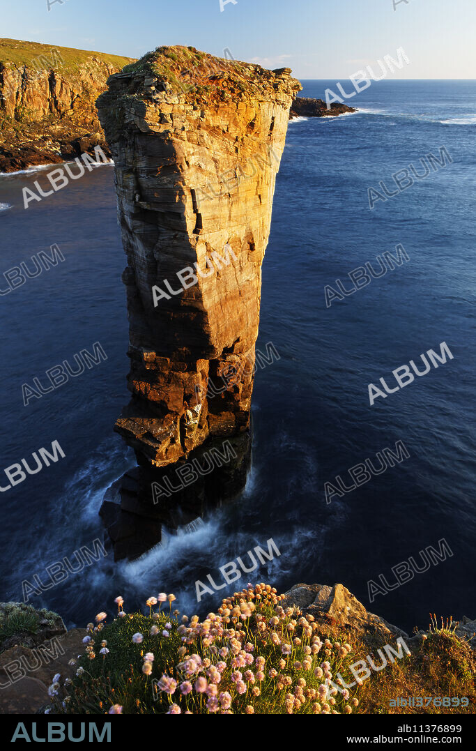 Yesnaby Sea Stack, West Mainland, Orkney Islands, Scotland, United Kingdom, Europe.