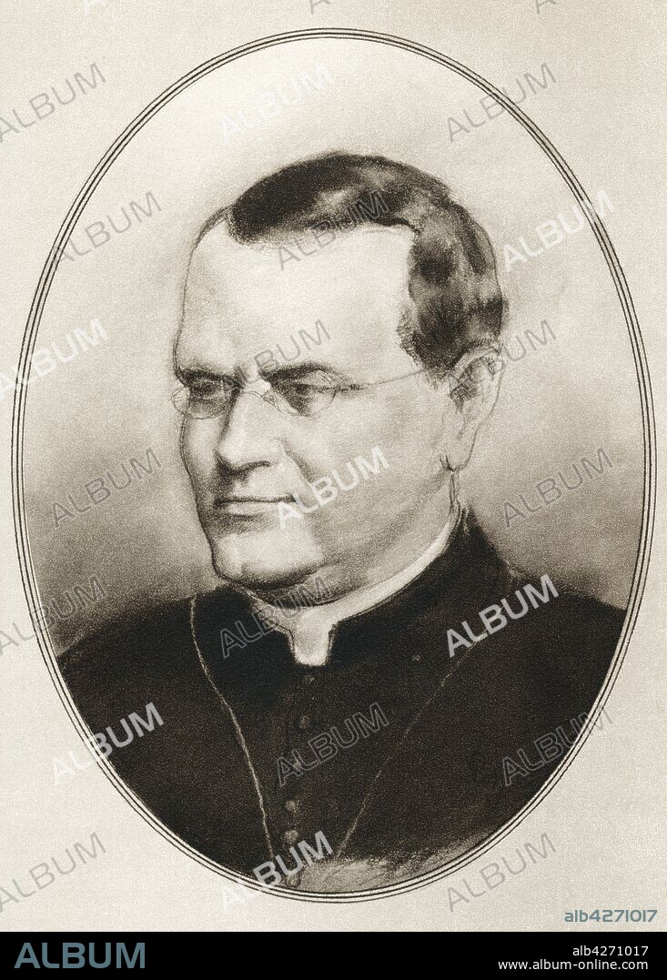 Gregor Johann Mendel,  1822 -1884 Scientist,  Augustinian friar and abbot of St Thomas Abbey in Brno,  Margraviate of Moravia Illustration by Gordon Ross,  American artist and illustrator 1873-1946,  from Living Biographies of Great Scientists.