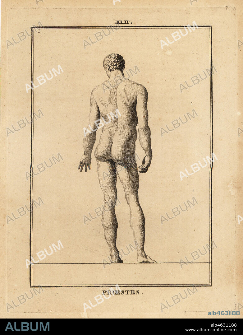 Statue of Orestes, naked, son of Agamemnon in Greek mythology. Copperplate engraving by Francois-Anne David from Museum de Florence, ou Collection des Pierres Gravees, Statues, Medailles, Chez F.A. David, Paris, 1787. David (1741-1824) drew and engraved the illustrations based on Roman statues, engraved stones and medals in the collection of the Museum de Florence and the cabinet of curiosities of the Grand Duke of Tuscany.
