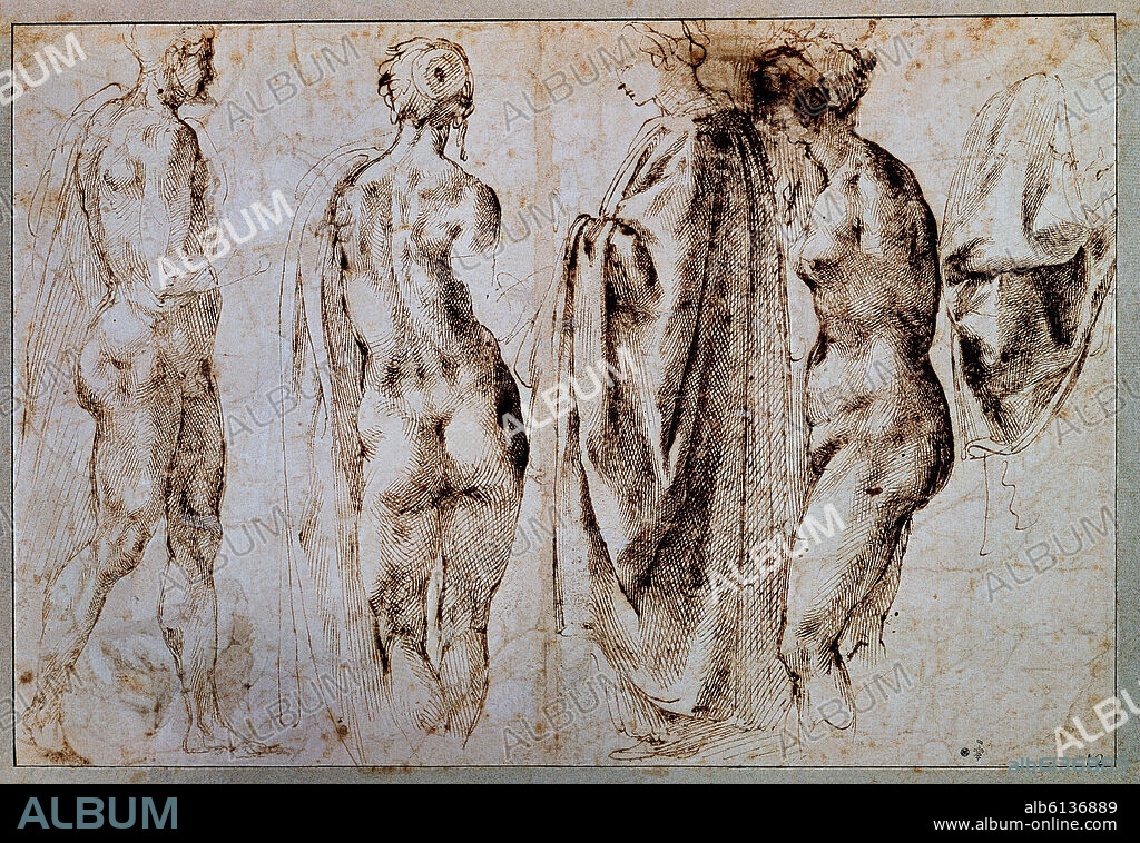 MIGUEL ANGEL. DIBUJO DE DESNUDOS - SIGLO XVI - RENACIMIENTO ITALIANO.