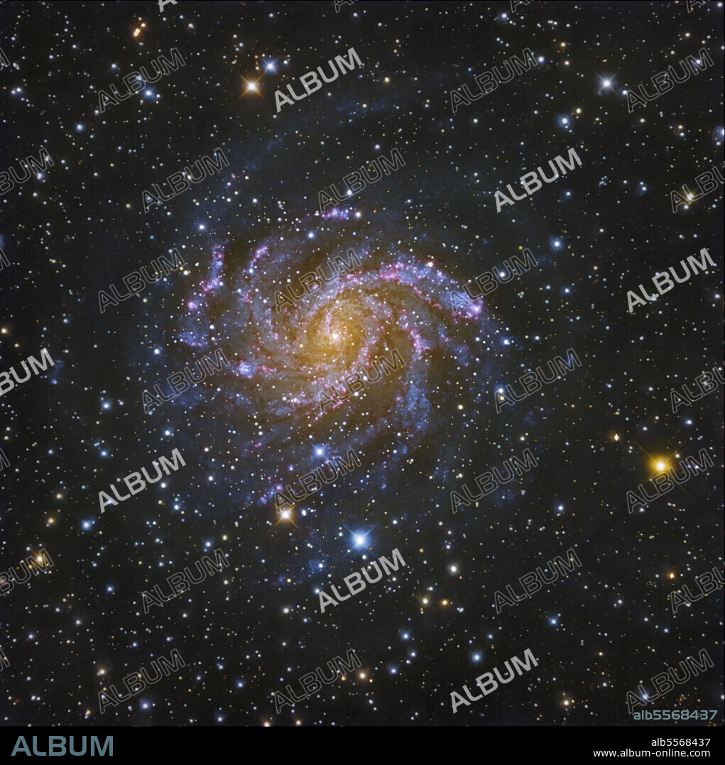 NGC 6946, also known as the Fireworks Galaxy, is an intermediate spiral galaxy in Cepheus. NGC 6946 is one of the nearest giant spiral galaxies beyond the local group. It has a high level of star formation throughout its disk in addition to a strong nuclear starburst region. NGC 6946 has a peculiar multiple arm spiral structure which coalesces into four dominant spiral arms. NGC 6946 has an unusually large halo of neutral gas that extends out of the plane of the disk, rotating at a slower velocity than the disk.