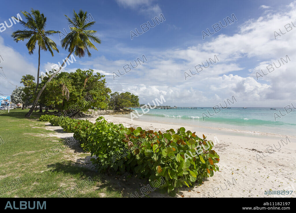 Welches Beach, Oistins, Christ Church, Barbados, West Indies, Caribbean, Central America.