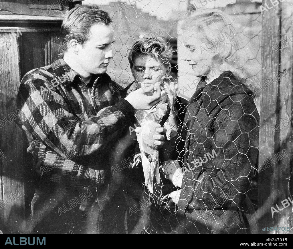 EVA MARIE SAINT y MARLON BRANDO en LA LEY DEL SILENCIO, 1954 (ON THE WATERFRONT), dirigida por ELIA KAZAN. Copyright COLUMBIA PICTURES.