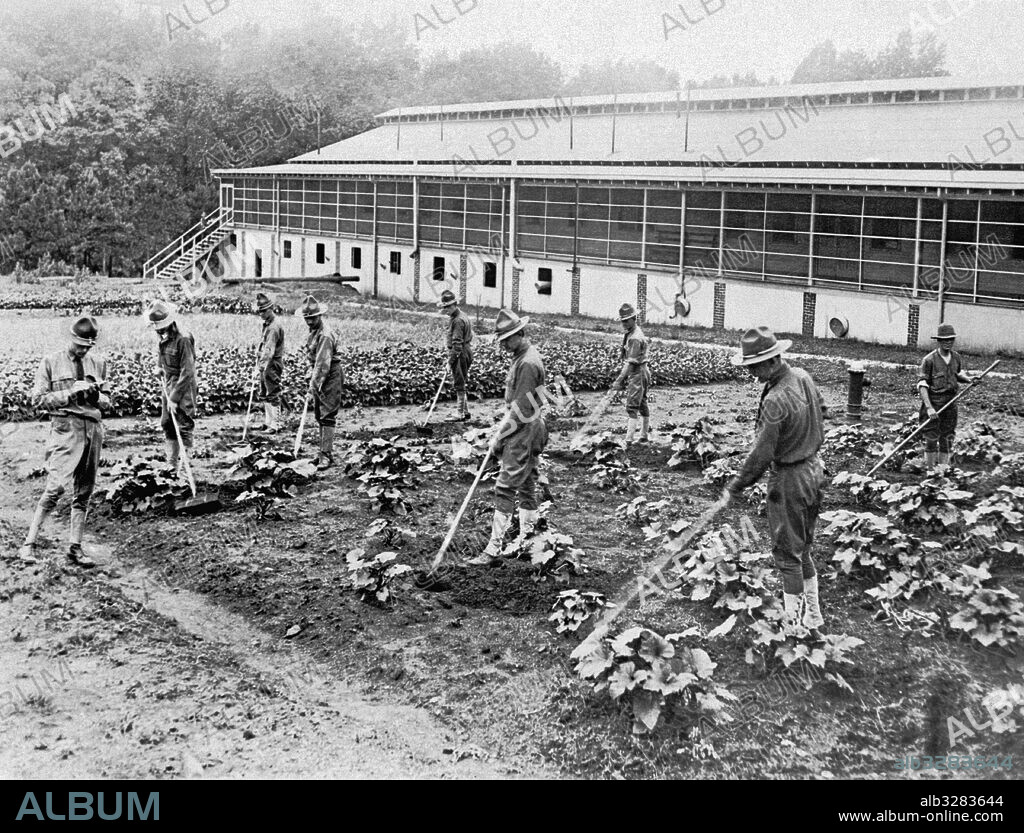 Fort McPherson, Georgia:  June 25, 1918 Soldiers suffering from shell shock take up gardening to help them recover from the injury.