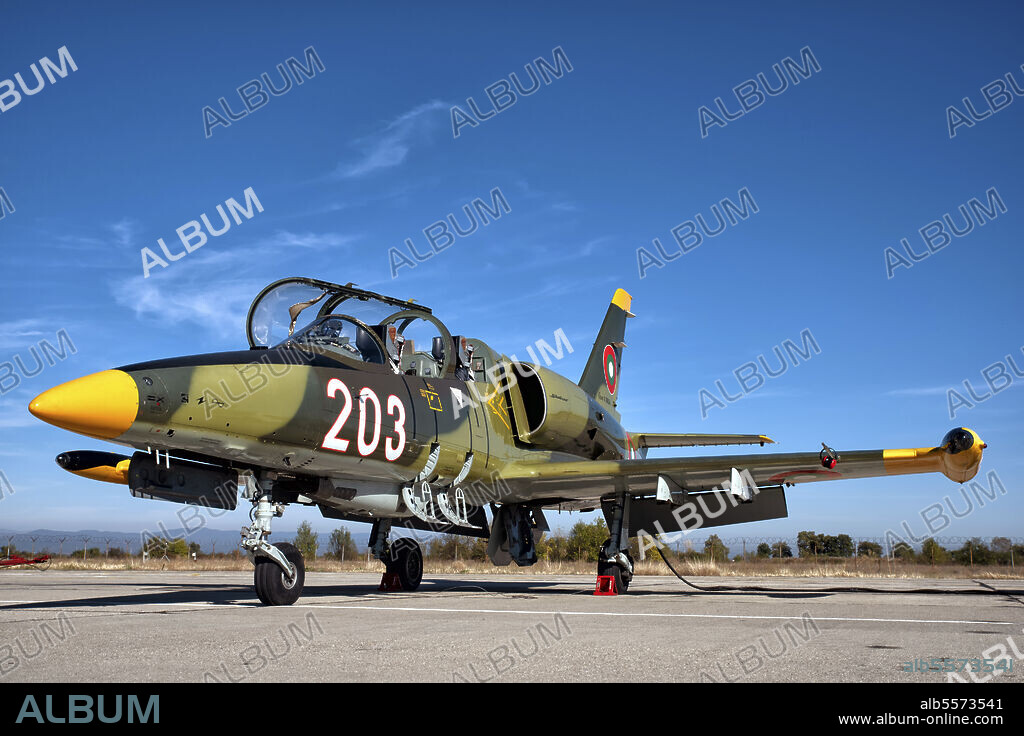 A Bulgarian Air Force L-39 trainer aircraft based at Graf Ignatievo Air Base, Bulgaria, for training purposes.