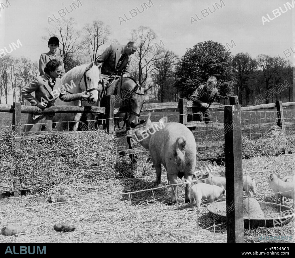 The Duchess At Home At Barnwell Manor - A Rural Scene: T.R,H. The Duke and Duchess of Gloucester  with Prince William (on horseback) and Prince Richard  inspecting the pig sties; at The model farm which the Duke of Gloucester manages at Barnwell Manor Large Whites are bred. March 2, 1955. (Photo by Tom Blau, Camera Press).