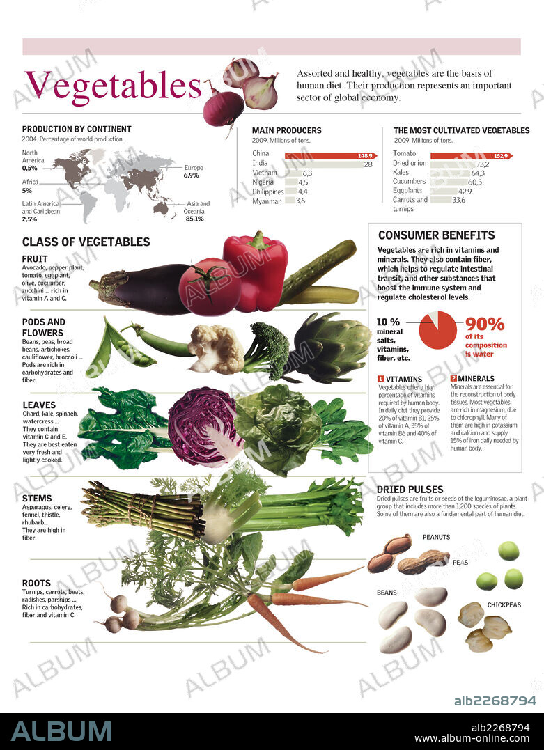 verduras. Infografía de las clases de verduras, su valor nutritivo y los principales países productores.