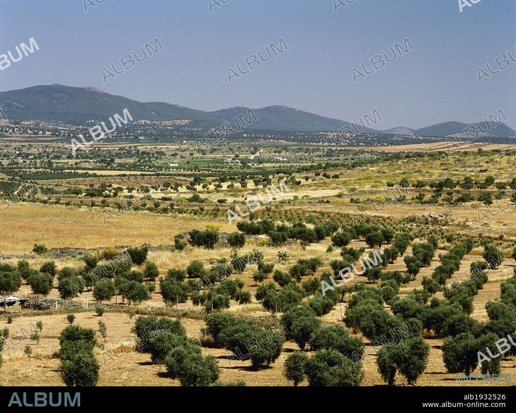 EXTREMADURA. Panorámica del paisaje en los alrededores de la localidad de Zalamea de la Serena. Al fondo, la SIERRA DEL ORO. Comarca de la Serena. Provincia de Badajoz. España.