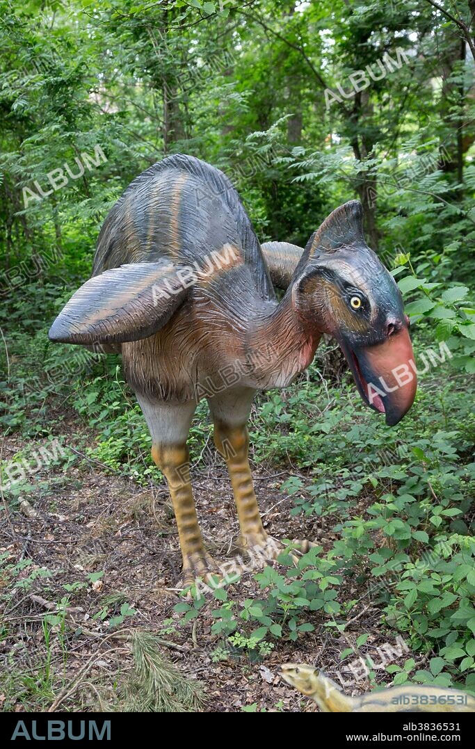 Phorusrhacos, an extinct giant flightless predatory bird that lived in Patagonia during the Miocene Epoch, in Dinosaurier Park, Germany.