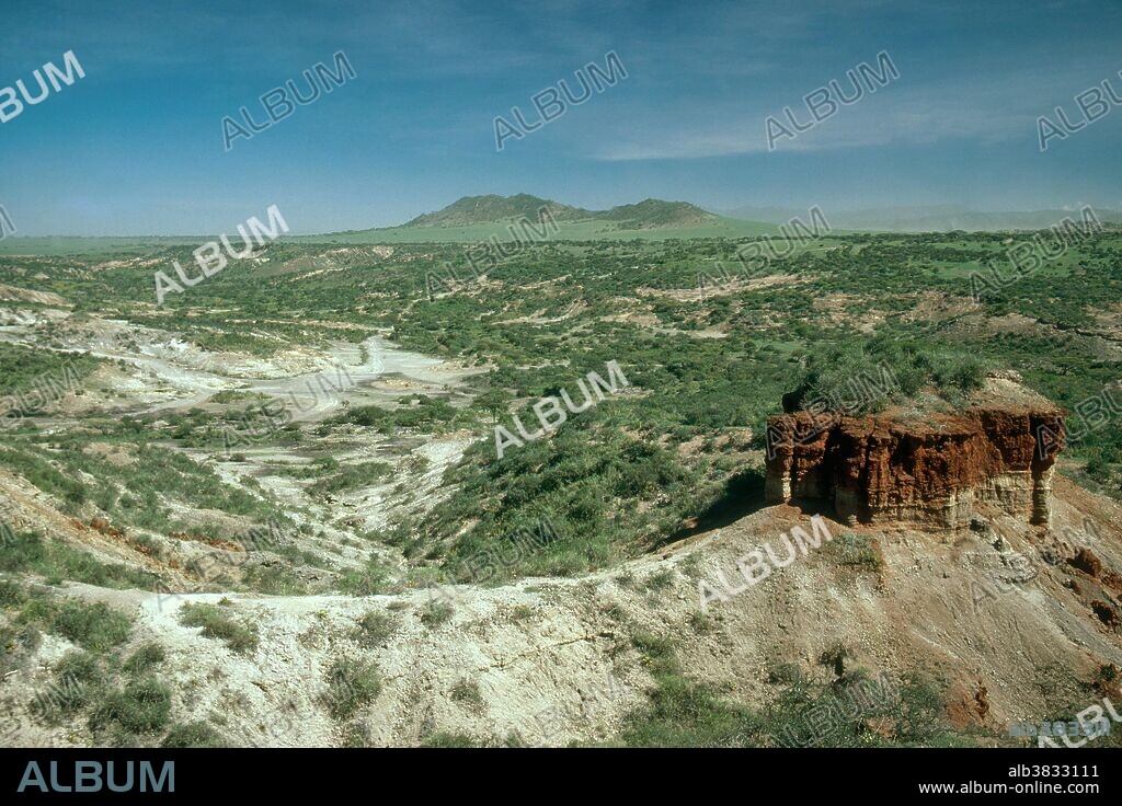 Olduvai gorge, also known as Oldupai Gorge and The Cradle of Mankind, lies within the Ngorongoro Conservation Area in Tanzania, Africa. It is about 30 miles long. Millions of years ago the gorge was a large lake with shores covered with deposits of volcanic ash. Around 500,000 years ago seismic activity diverted a nearby stream, which cut into the sedimentary rock, revealing the main layers in the walls of the gorge. Dr. Louis Leakey a paleoanthropologist, did extensive work in this gorge. He believed that early man developed in Africa and spent most of his life studying tools, bones and other artifacts from this area.