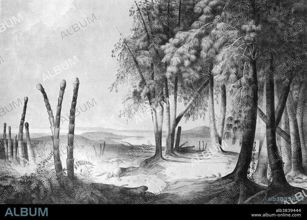 Triassic landscape. The oldest period of the Mesozoic Era. The Triassic encompasses a time frame between about 252 and 201 million years ago that was named for the threefold division of rocks at its type locality in central Germany, where continental redbeds and evaporites are separated by a marine limestone. Characterized by the diversification of land life, the rise of dinosaurs, and the appearance of the earliest mammals. Illustration originally captioned: Triassic (Keuper) landscape by Franz Unger, 1916.