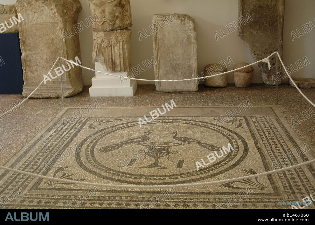 ARTE ROMANO. CROACIA. MOSAICO que representa a dos PAVOS REALES SOBRE UNA FUENTE. Museo Arqueológico. Pula. Península de Istria.