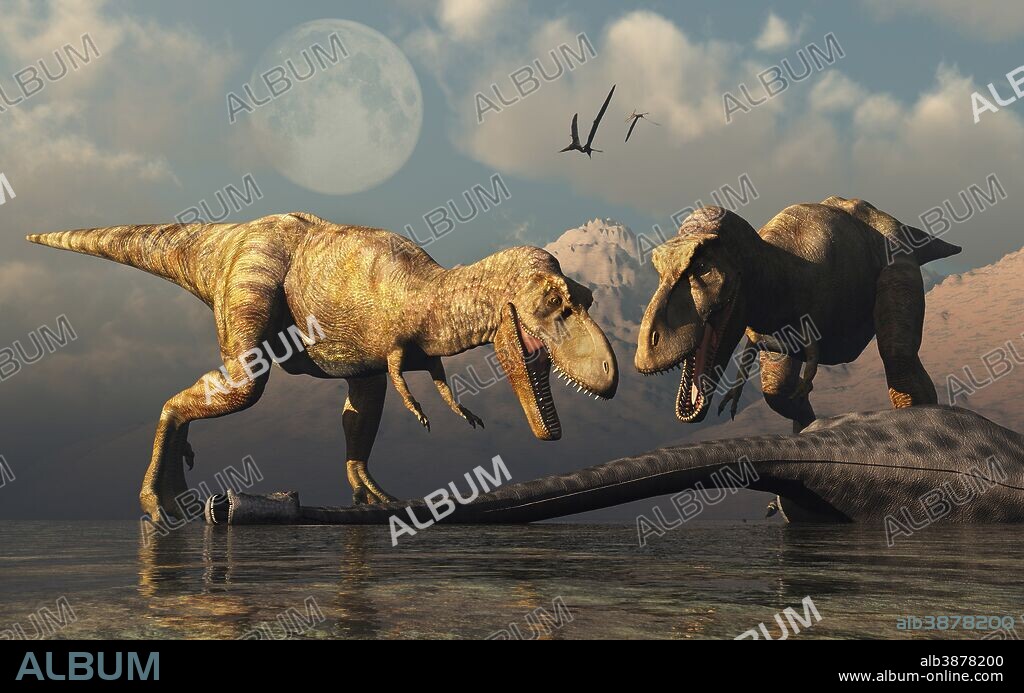A pair of carnivorous T-rex dinosaurs about to eat a dead sauropod dinosaur.