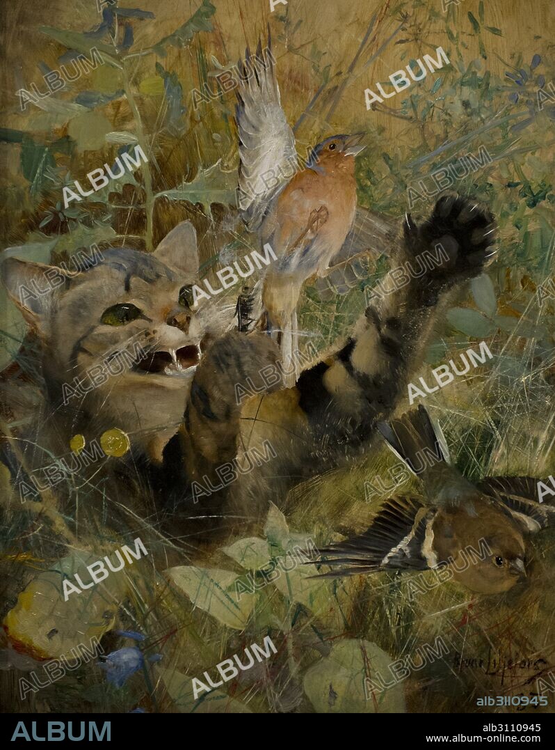 Bruno Liljefors (1860-1939). Pintor sueco. Estudio de cinco animales en un solo marco. Detalle de Un gato y un pinzón, 1885. Museo Nacional (National Museum). Estocolmo. Suecia.