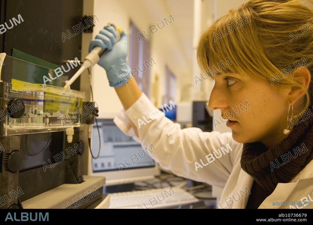 Polyacrylamide gel electrophoresis. Automatic sequencer. LICOR system, Biotechnology Laboratory, Neiker Tecnalia, Instituto de Investigación y Desarrollo Agrario, Ganadero, Forestal y del Medio Natural, Arkaute, Alava, Euskadi, Spain.