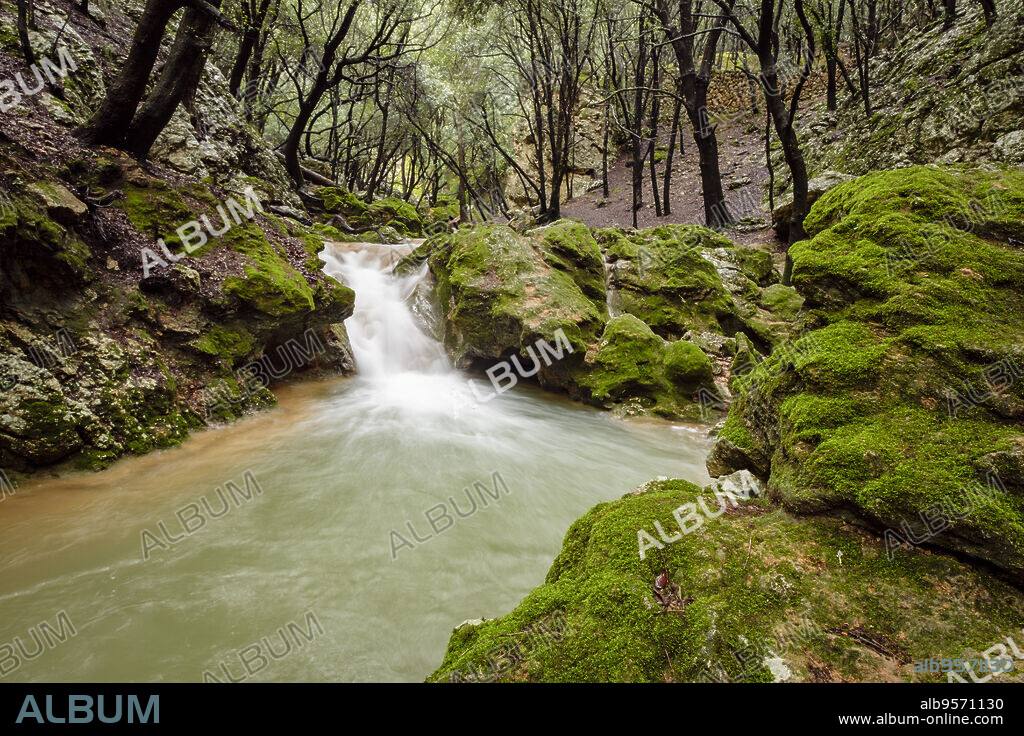 torrent des Freu, valle de Coanegra, Orient,Mallorca, balearic islands, Spain.