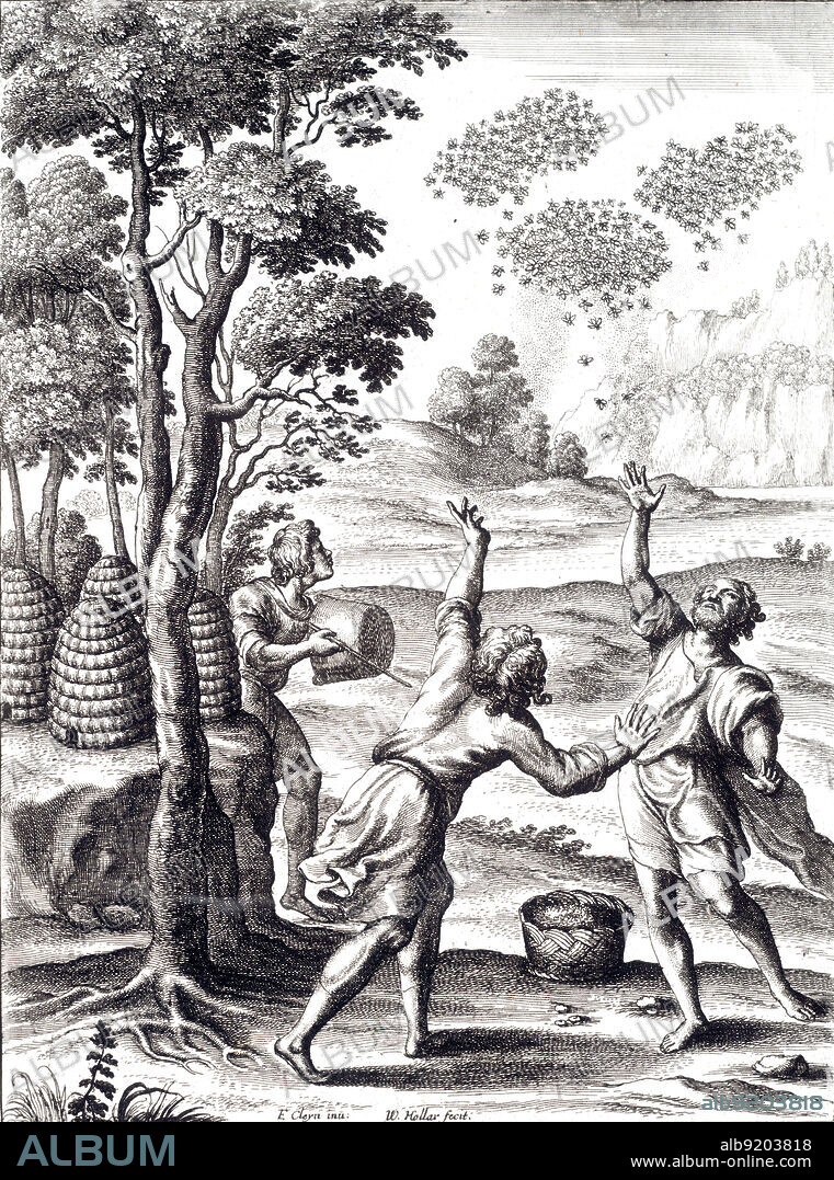 Swarming of bees, 17th century engraving. The technology of beekeeping has remained fairly constant throughout the centuries. Beekeeping is the maintenance of honey bee colonies, commonly in hives, by humans. A beekeeper (or apiarist) keeps bees in order to collect honey and other products of the hive (including beeswax, propolis, pollen, and royal jelly), to pollinate crops, or to produce bees for sale to other beekeepers. A location where bees are kept is called an apiary or "bee yard". Honey is a sweet food made by bees using nectar from flowers. Beekeeping practices encourage overproduction of honey so the excess can be taken from the colony.