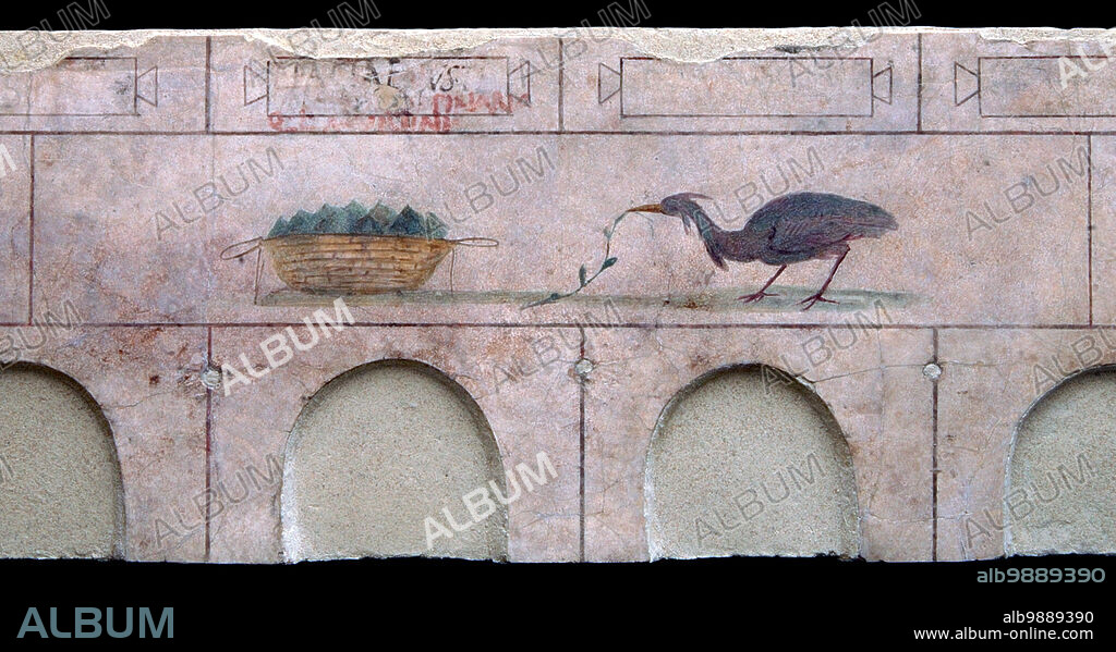Frescoes from the great columbarium of large Doria Pamphili villa. Frescoes from the great columbarium of large Doria Pamphili villa, fresco. Italy, Latium, Rome. Detail. A basket and a bird.