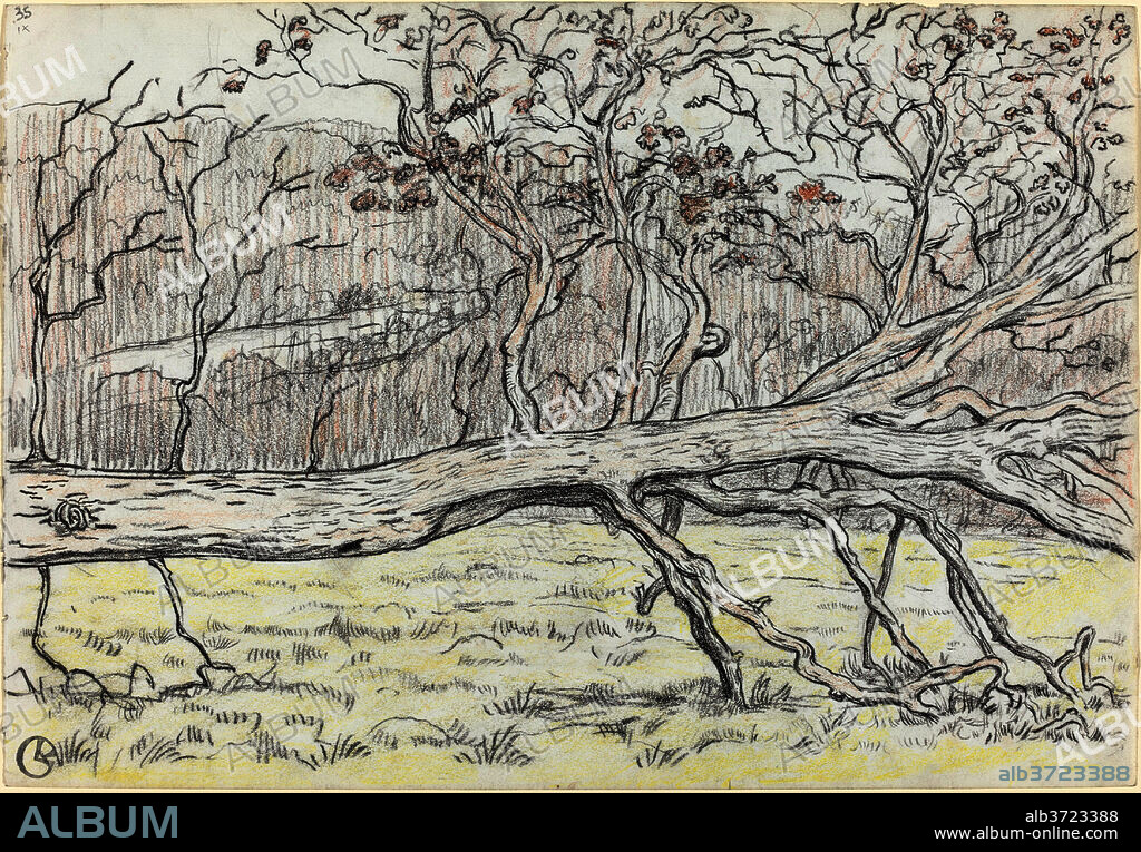GEORGES LACOMBE. Felled Tree, Normandy. Dated: 1898. Dimensions: overall: 30.8 x 44.7 cm (12 1/8 x 17 5/8 in.). Medium: charcoal with red-brown and yellow crayon.
